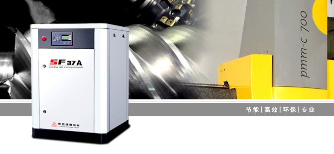 ��ʢ-SFϵ��΢���ݸ˿�ѹ��